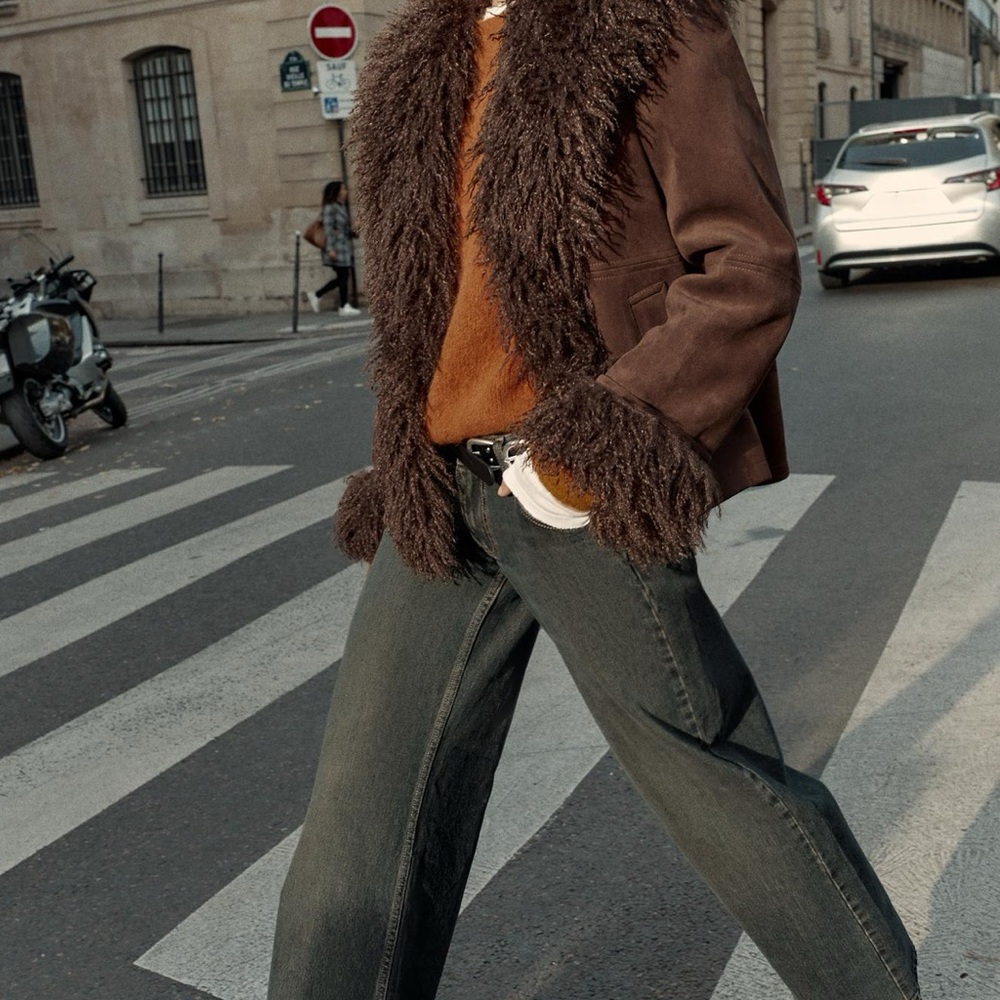Zara Brown Faux Fur Trim Jacket
